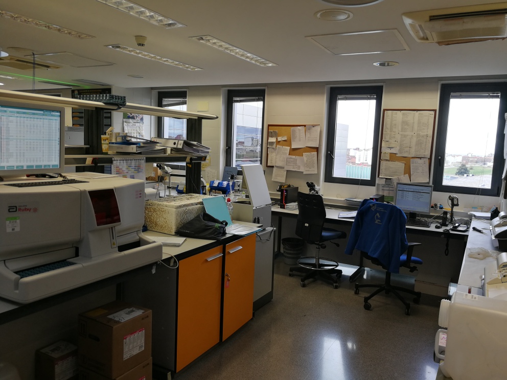 IMG_20220412_115653_resized_20220412_122853059