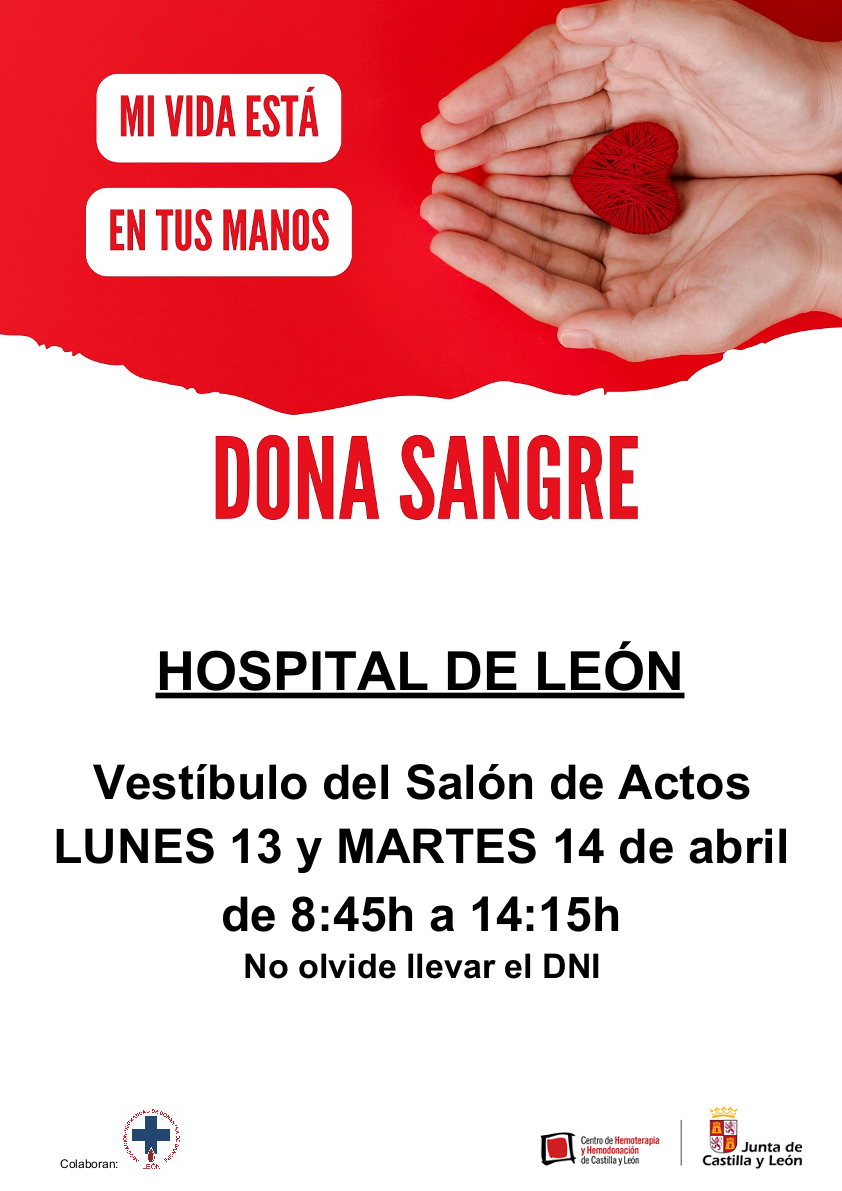 Cartel de la maratón