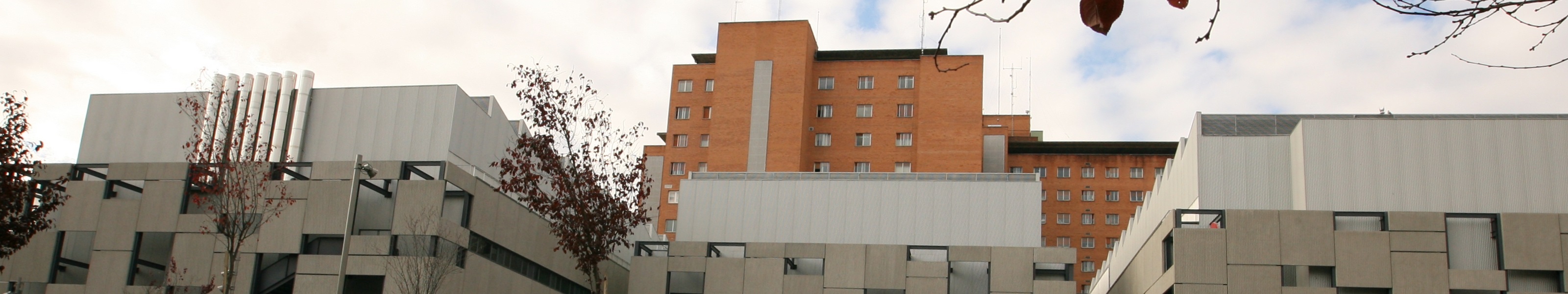 Hospital Clínico Universitario de Valladolid 2