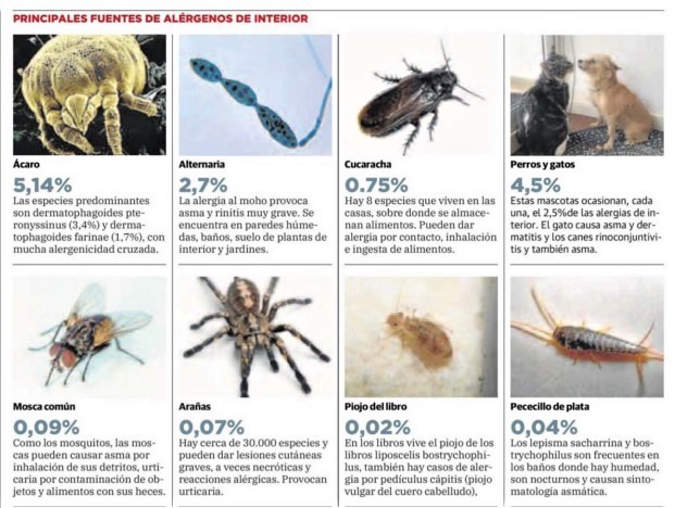 Alérgenos Hogar