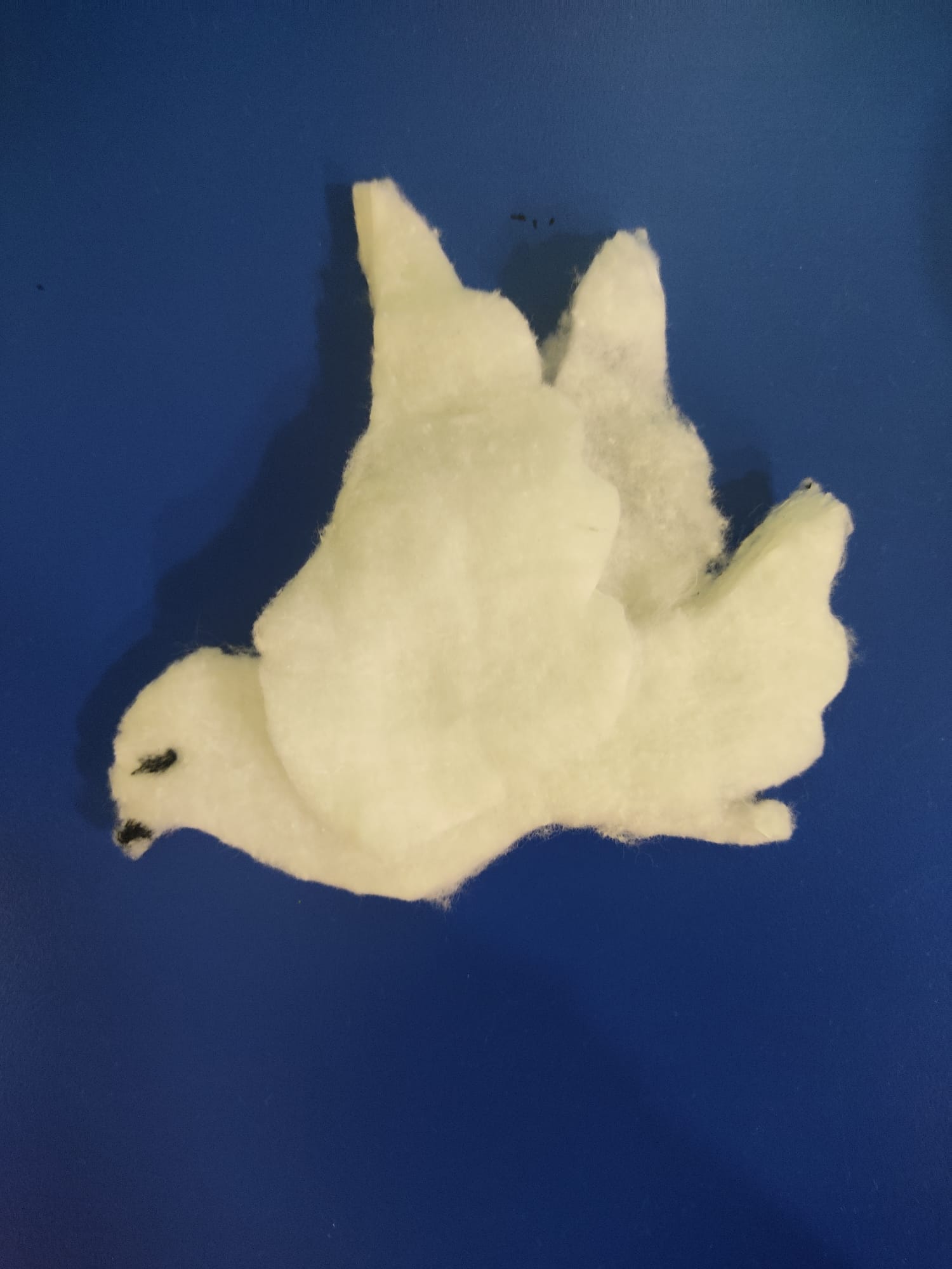 WhatsApp Image 2024-01-30 at 14.56.57 (1)