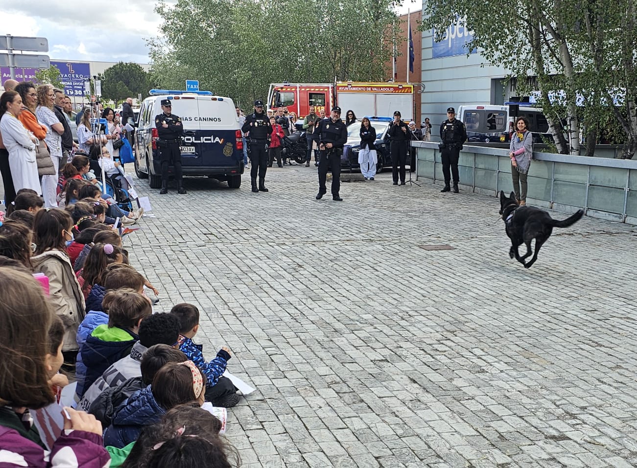 WhatsApp Image 2024-05-14 at 13.00.14 (3)