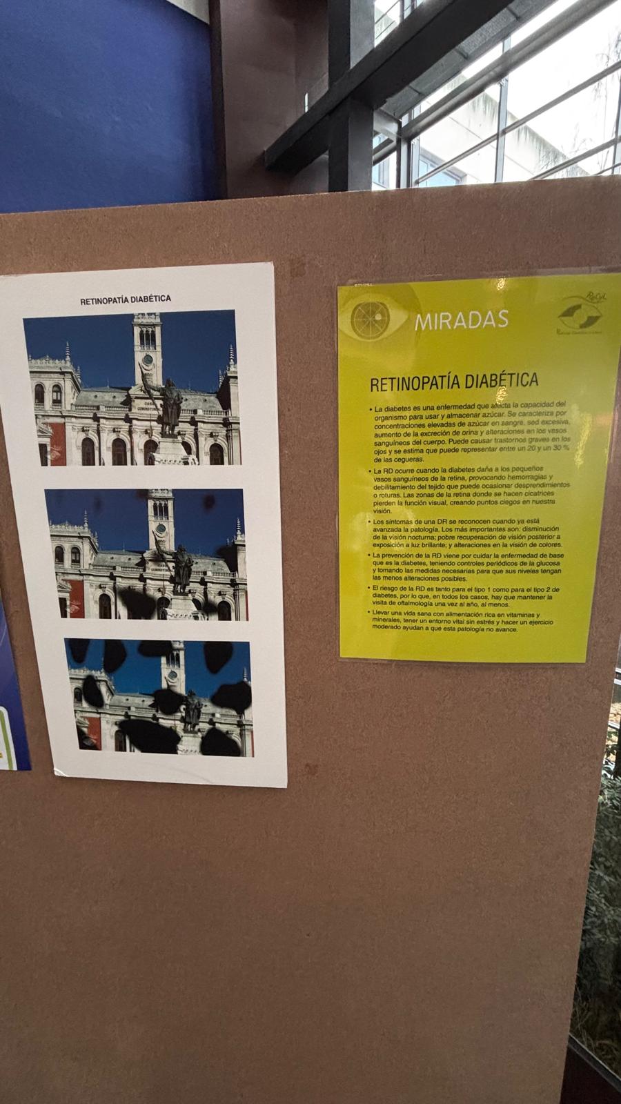 WhatsApp Image 2025-01-23 at 13.31.24 (2)