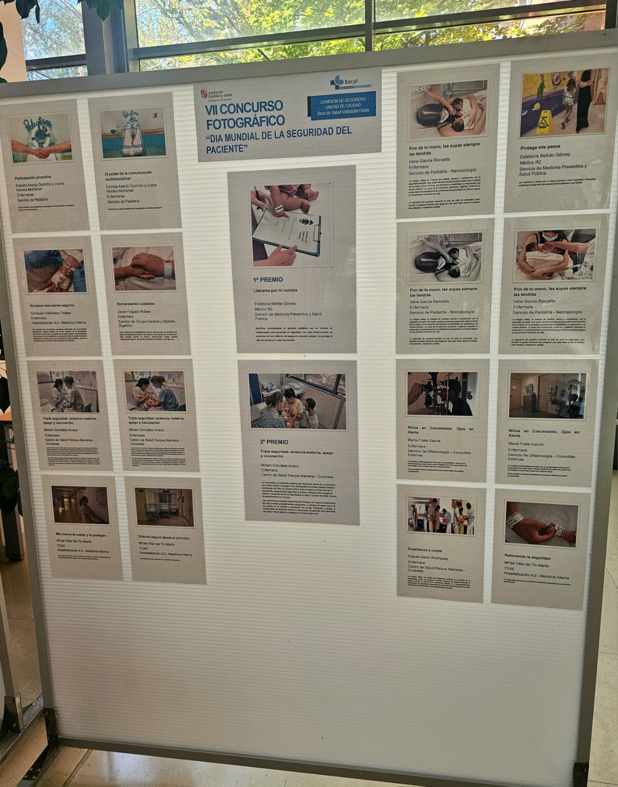 Concurso fotgráfico (3)