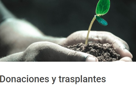 Trasplantes