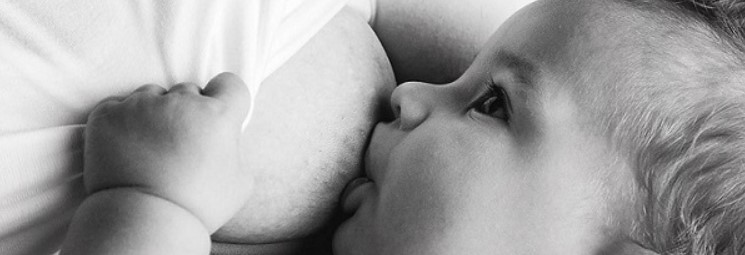 Captura de pantalla 2026-04-28 125546