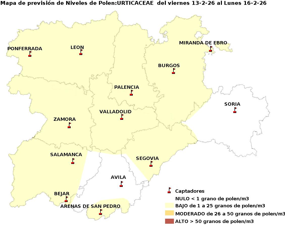 2026_2_13_Urticaceas