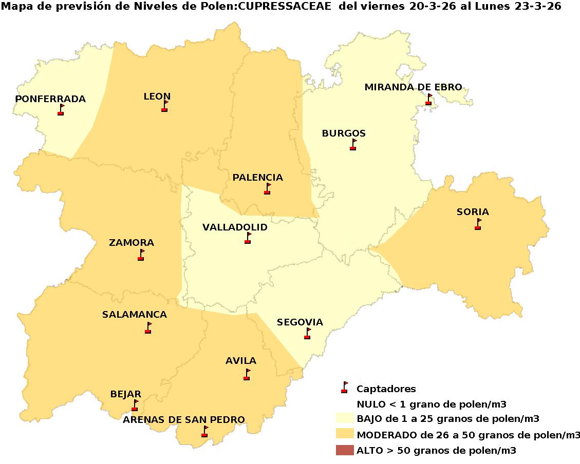 2026_3_20_Cupresaceas