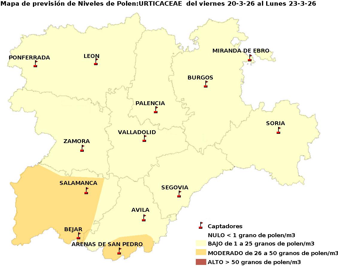 2026_3_20_Urticaceas