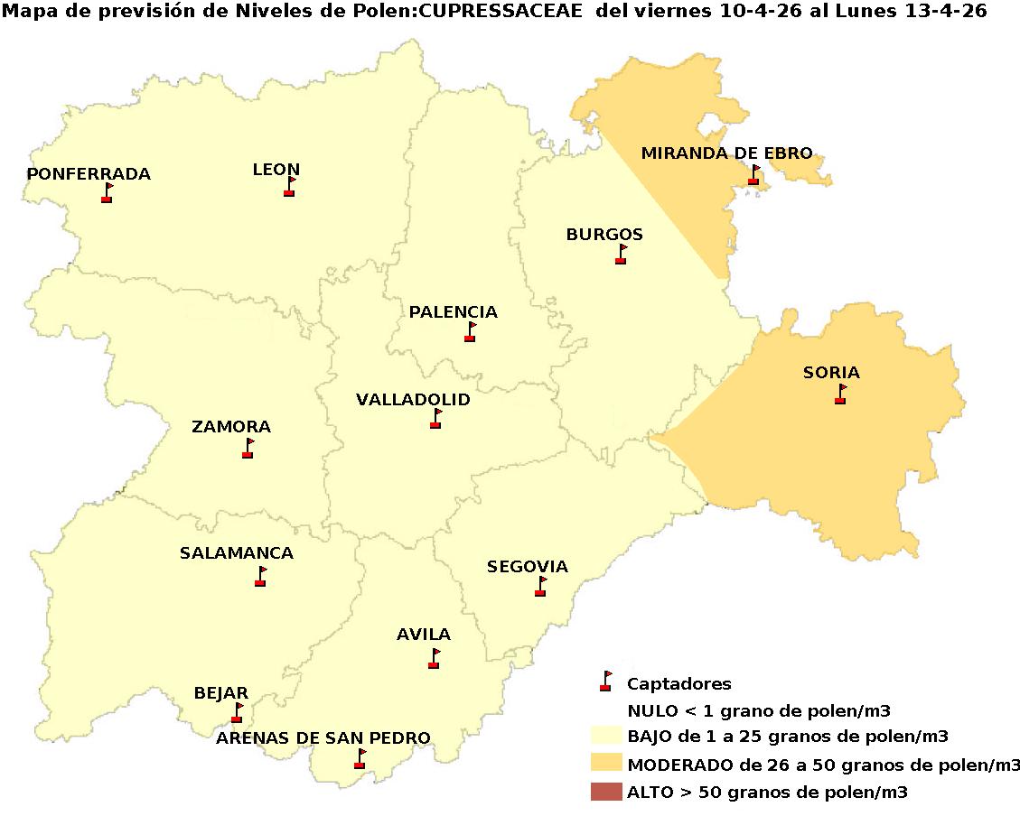 2026_4_10_Cupresaceas