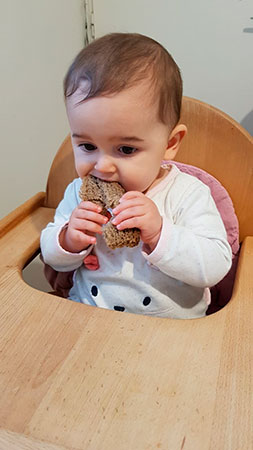 Historia de la alimentación humana